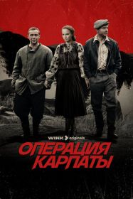 Операция «Карпаты» Операция «Карпаты»